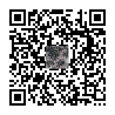 待添加