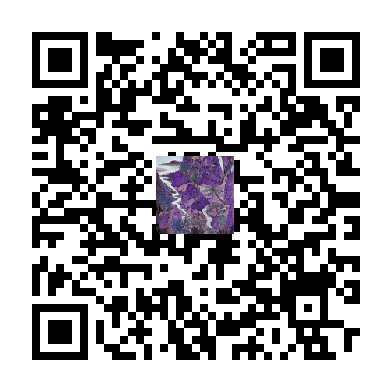 待添加